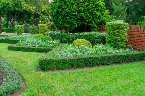 Professioneel tuinonderhoud